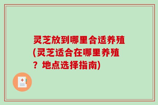灵芝放到哪里合适养殖(灵芝适合在哪里养殖?地点选择指南)-第1张图片-破壁灵芝孢子粉研究指南 灵芝放到哪里合适养殖(灵芝适合在哪里养殖?地点选择指南)-第1张图片-破壁灵芝孢子粉研究指南