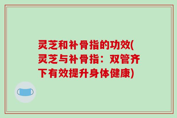 灵芝和补骨指的功效(灵芝与补骨指:双管齐下有效提升身体健康)-第1张图片-破壁灵芝孢子粉研究指南 灵芝和补骨指的功效(灵芝与补骨指:双管齐下有效提升身体健康)-第1张图片-破壁灵芝孢子粉研究指南