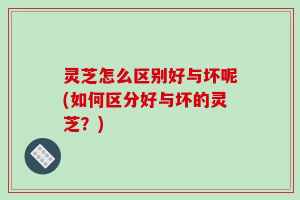 灵芝怎么区别好与坏呢(如何区分好与坏的灵芝?)-第1张图片-破壁灵芝孢子粉研究指南 灵芝怎么区别好与坏呢(如何区分好与坏的灵芝?)-第1张图片-破壁灵芝孢子粉研究指南