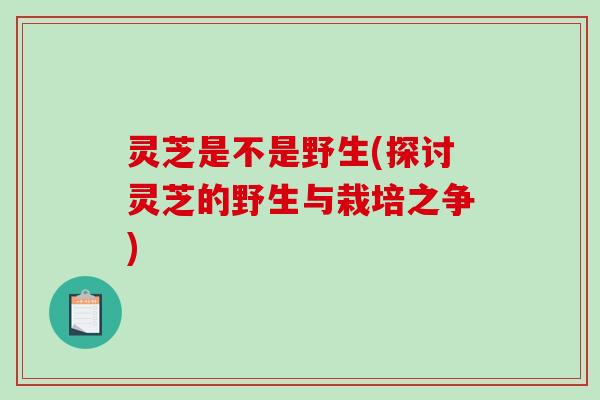 灵芝是不是野生(探讨灵芝的野生与栽培之争)-第1张图片-破壁灵芝孢子粉研究指南 灵芝是不是野生(探讨灵芝的野生与栽培之争)-第1张图片-破壁灵芝孢子粉研究指南