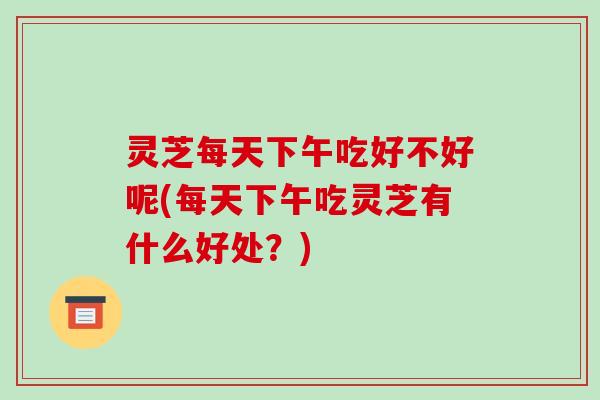 灵芝每天下午吃好不好呢(每天下午吃灵芝有什么好处?)-第1张图片-破壁灵芝孢子粉研究指南 灵芝每天下午吃好不好呢(每天下午吃灵芝有什么好处?)-第1张图片-破壁灵芝孢子粉研究指南