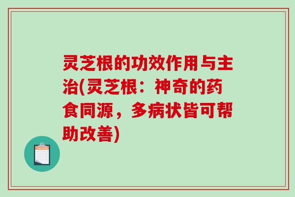 灵芝根的功效作用与主治(灵芝根：神奇的药食同源，多病状皆可帮助改善)-第1张图片-破壁灵芝孢子粉研究指南