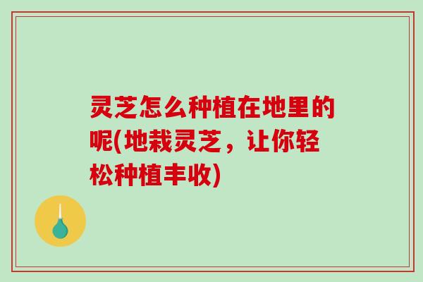 灵芝怎么种植在地里的呢(地栽灵芝,让你轻松种植丰收)-第1张图片-破壁灵芝孢子粉研究指南 灵芝怎么种植在地里的呢(地栽灵芝,让你轻松种植丰收)-第1张图片-破壁灵芝孢子粉研究指南