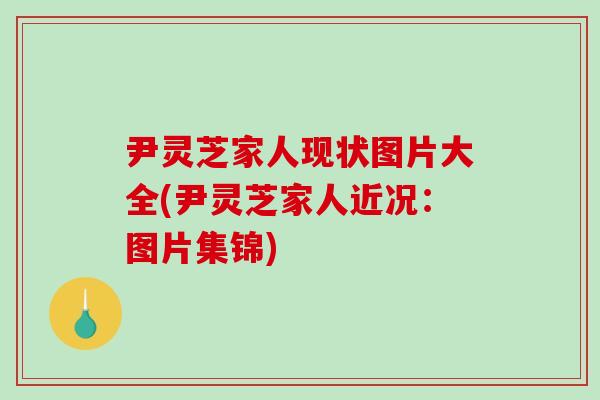 尹灵芝家人现状图片大全(尹灵芝家人近况:图片集锦)-第1张图片-破壁灵芝孢子粉研究指南 尹灵芝家人现状图片大全(尹灵芝家人近况:图片集锦)-第1张图片-破壁灵芝孢子粉研究指南