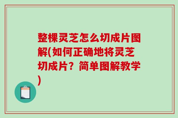 整棵灵芝怎么切成片图解(如何正确地将灵芝切成片？简单图解教学)-第1张图片-破壁灵芝孢子粉研究指南