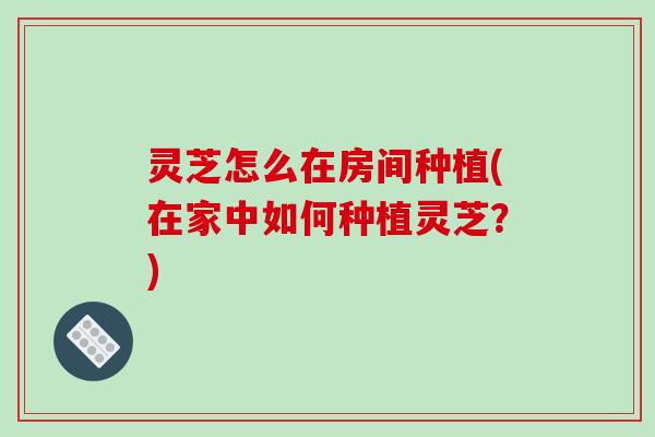 灵芝怎么在房间种植(在家中如何种植灵芝？)-第1张图片-破壁灵芝孢子粉研究指南