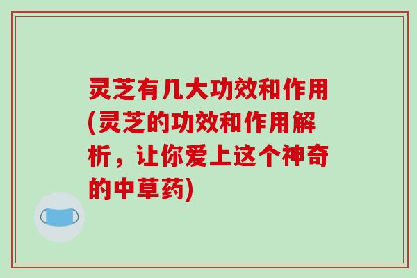 灵芝有几大功效和作用(灵芝的功效和作用解析,让你爱上这个神奇的中草药)-第1张图片-破壁灵芝孢子粉研究指南 灵芝有几大功效和作用(灵芝的功效和作用解析,让你爱上这个神奇的中草药)-第1张图片-破壁灵芝孢子粉研究指南