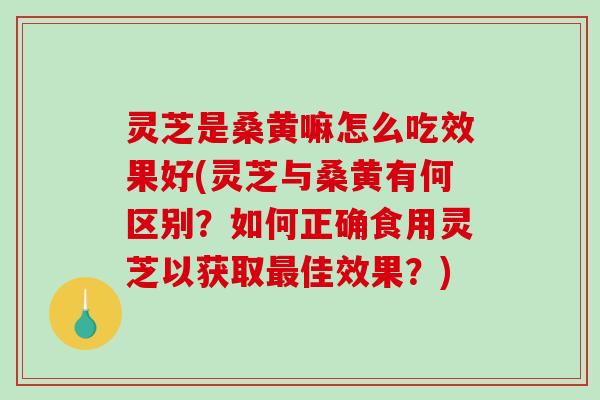 灵芝是桑黄嘛怎么吃效果好(灵芝与桑黄有何区别?如何正确食用灵芝以获取最佳效果?)-第1张图片-破壁灵芝孢子粉研究指南 灵芝是桑黄嘛怎么吃效果好(灵芝与桑黄有何区别?如何正确食用灵芝以获取最佳效果?)-第1张图片-破壁灵芝孢子粉研究指南
