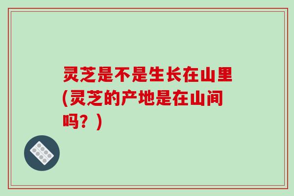 灵芝是不是生长在山里(灵芝的产地是在山间吗?)-第1张图片-破壁灵芝孢子粉研究指南 灵芝是不是生长在山里(灵芝的产地是在山间吗?)-第1张图片-破壁灵芝孢子粉研究指南
