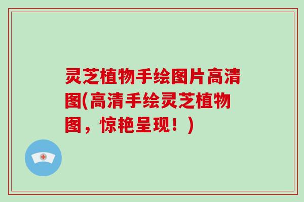 灵芝植物手绘图片高清图(高清手绘灵芝植物图，惊艳呈现！)-第1张图片-破壁灵芝孢子粉研究指南