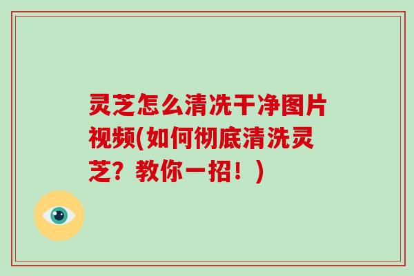 灵芝怎么清冼干净图片视频(如何彻底清洗灵芝?教你一招!)-第1张图片-破壁灵芝孢子粉研究指南 灵芝怎么清冼干净图片视频(如何彻底清洗灵芝?教你一招!)-第1张图片-破壁灵芝孢子粉研究指南