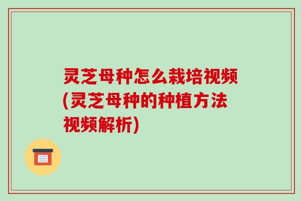 灵芝母种怎么栽培视频(灵芝母种的种植方法视频解析)-第1张图片-破壁灵芝孢子粉研究指南 灵芝母种怎么栽培视频(灵芝母种的种植方法视频解析)-第1张图片-破壁灵芝孢子粉研究指南