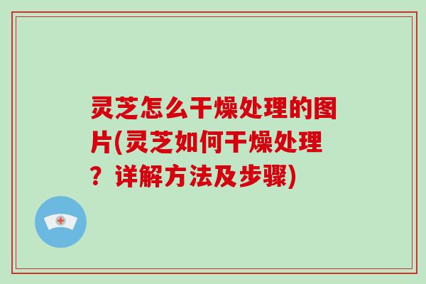灵芝怎么干燥处理的图片(灵芝如何干燥处理?详解方法及步骤)-第1张图片-破壁灵芝孢子粉研究指南 灵芝怎么干燥处理的图片(灵芝如何干燥处理?详解方法及步骤)-第1张图片-破壁灵芝孢子粉研究指南