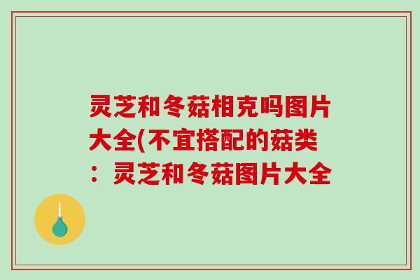 灵芝和冬菇相克吗图片大全(不宜搭配的菇类:灵芝和冬菇图片大全-第1张图片-破壁灵芝孢子粉研究指南 灵芝和冬菇相克吗图片大全(不宜搭配的菇类:灵芝和冬菇图片大全-第1张图片-破壁灵芝孢子粉研究指南