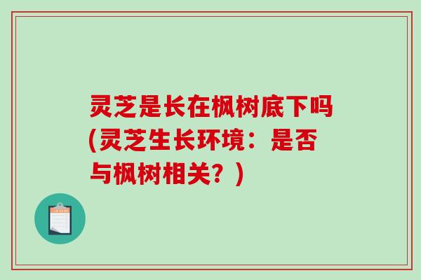 灵芝是长在枫树底下吗(灵芝生长环境：是否与枫树相关？)-第1张图片-破壁灵芝孢子粉研究指南