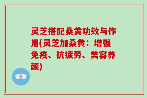 灵芝搭配桑黄功效与作用(灵芝加桑黄：增强免疫、抗疲劳、美容养颜)-第1张图片-破壁灵芝孢子粉研究指南