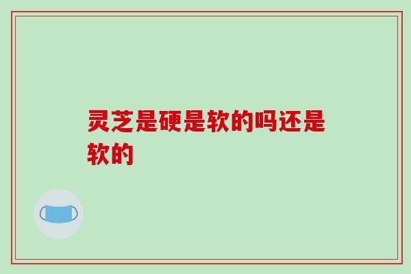 灵芝是硬是软的吗还是软的-第1张图片-破壁灵芝孢子粉研究指南