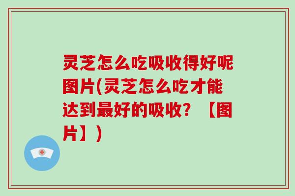 灵芝怎么吃吸收得好呢图片(灵芝怎么吃才能达到最好的吸收？【图片】)-第1张图片-破壁灵芝孢子粉研究指南