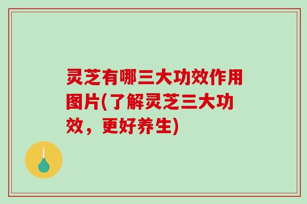 灵芝有哪三大功效作用图片(了解灵芝三大功效，更好养生)-第1张图片-破壁灵芝孢子粉研究指南