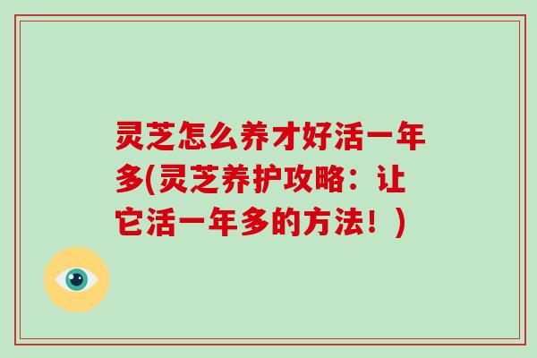 灵芝怎么养才好活一年多(灵芝养护攻略：让它活一年多的方法！)-第1张图片-破壁灵芝孢子粉研究指南