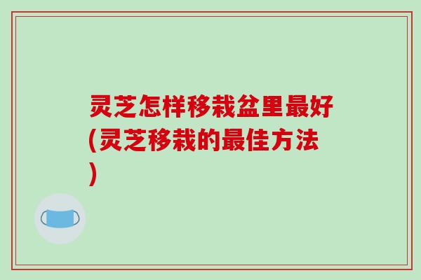 灵芝怎样移栽盆里最好(灵芝移栽的最佳方法)-第1张图片-破壁灵芝孢子粉研究指南