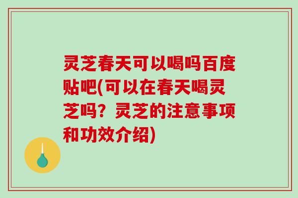 灵芝春天可以喝吗百度贴吧(可以在春天喝灵芝吗？灵芝的注意事项和功效介绍)-第1张图片-破壁灵芝孢子粉研究指南