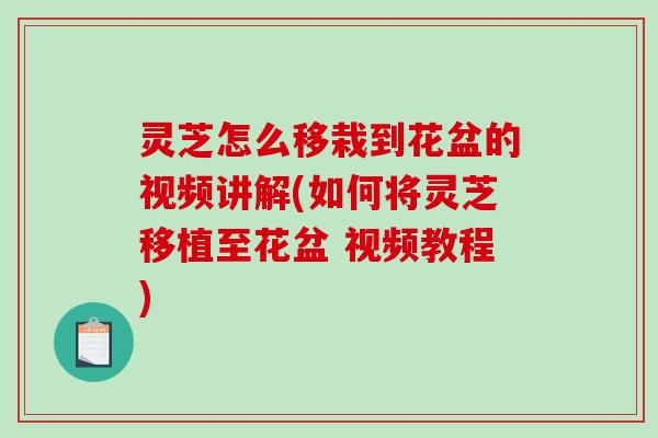 灵芝怎么移栽到花盆的视频讲解(如何将灵芝移植至花盆 视频教程)-第1张图片-破壁灵芝孢子粉研究指南