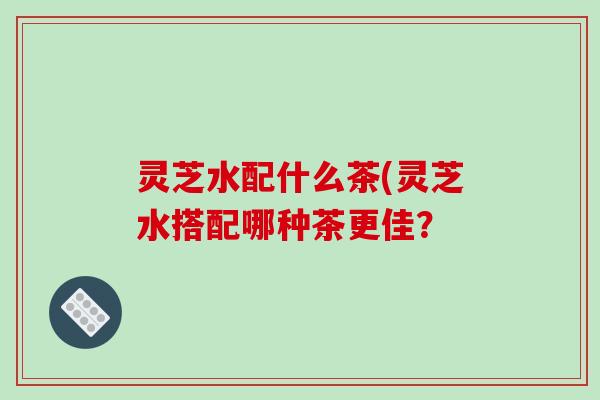 灵芝水配什么茶(灵芝水搭配哪种茶更佳？-第1张图片-破壁灵芝孢子粉研究指南