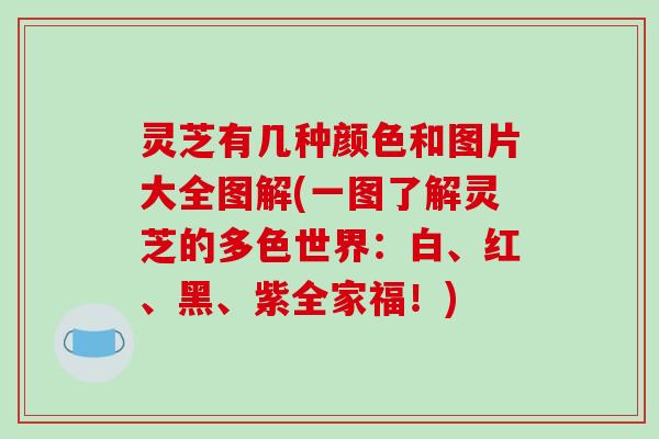 灵芝有几种颜色和图片大全图解(一图了解灵芝的多色世界：白、红、黑、紫全家福！)-第1张图片-破壁灵芝孢子粉研究指南