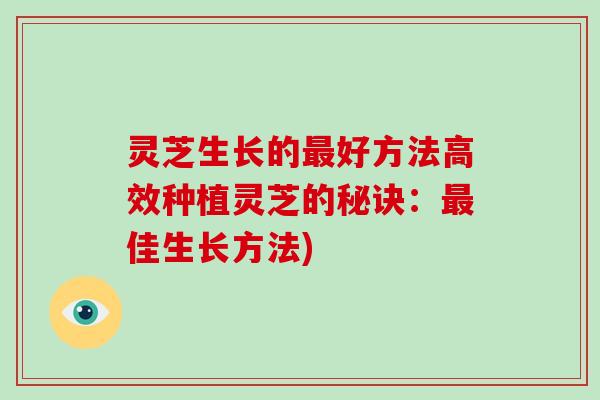 灵芝生长的最好方法高效种植灵芝的秘诀：最佳生长方法)-第1张图片-破壁灵芝孢子粉研究指南