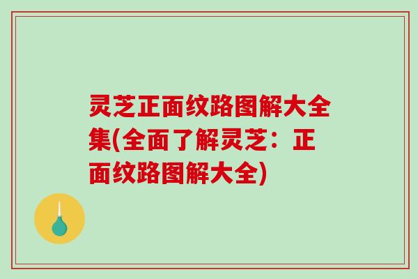灵芝正面纹路图解大全集(全面了解灵芝：正面纹路图解大全)-第1张图片-破壁灵芝孢子粉研究指南