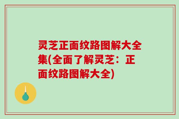 灵芝正面纹路图解大全集(全面了解灵芝：正面纹路图解大全)-第1张图片-破壁灵芝孢子粉研究指南