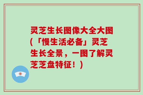 灵芝生长图像大全大图(「慢生活必备」灵芝生长全景，一图了解灵芝芝盘特征！)-第1张图片-破壁灵芝孢子粉研究指南