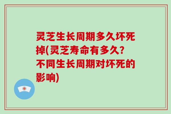 灵芝生长周期多久坏死掉(灵芝寿命有多久？不同生长周期对坏死的影响)-第1张图片-破壁灵芝孢子粉研究指南