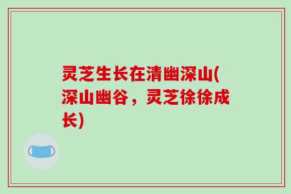 灵芝生长在清幽深山(深山幽谷，灵芝徐徐成长)-第1张图片-破壁灵芝孢子粉研究指南