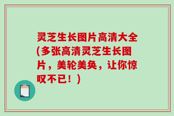 灵芝生长图片高清大全(多张高清灵芝生长图片，美轮美奂，让你惊叹不已！)-第1张图片-破壁灵芝孢子粉研究指南