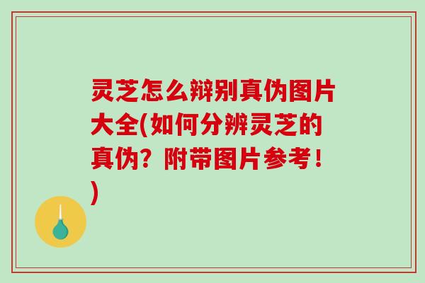 灵芝怎么辩别真伪图片大全(如何分辨灵芝的真伪？附带图片参考！)-第1张图片-破壁灵芝孢子粉研究指南