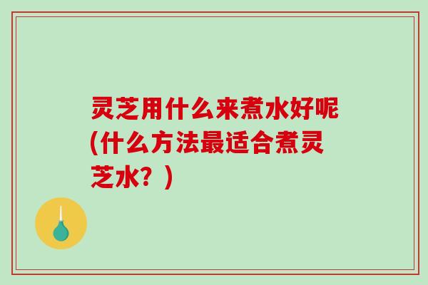 灵芝用什么来煮水好呢(什么方法最适合煮灵芝水?)-第1张图片-破壁灵芝孢子粉研究指南 灵芝用什么来煮水好呢(什么方法最适合煮灵芝水?)-第1张图片-破壁灵芝孢子粉研究指南