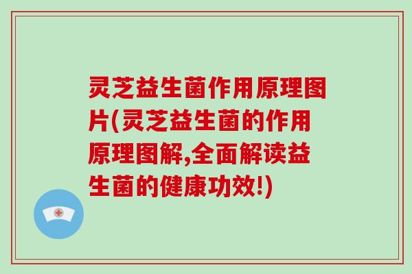 灵芝益生菌作用原理图片(灵芝益生菌的作用原理图解,全面解读益生菌的健康功效!)-第1张图片-破壁灵芝孢子粉研究指南