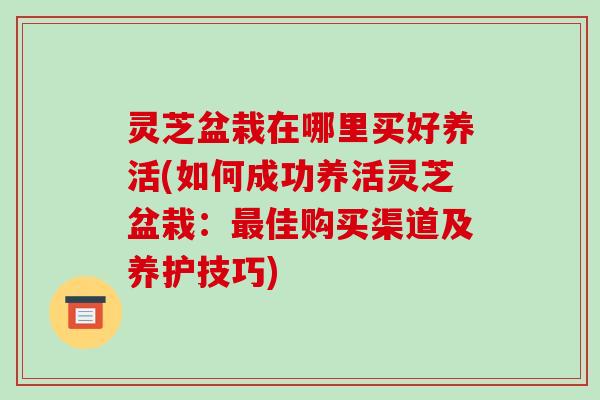 灵芝盆栽在哪里买好养活(如何成功养活灵芝盆栽：最佳购买渠道及养护技巧)-第1张图片-破壁灵芝孢子粉研究指南