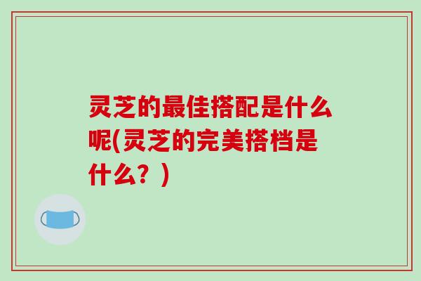 灵芝的最佳搭配是什么呢(灵芝的完美搭档是什么？)-第1张图片-破壁灵芝孢子粉研究指南