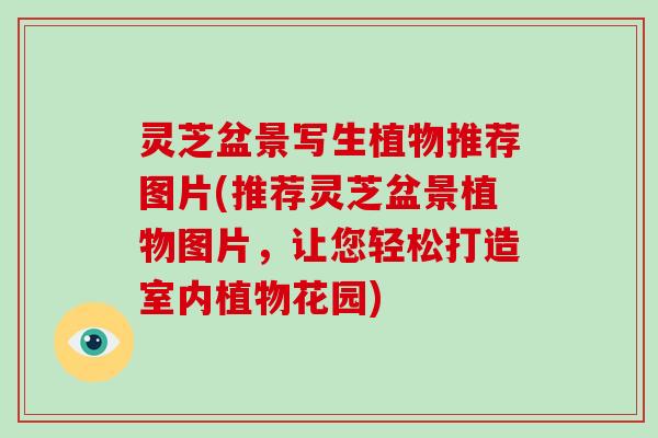 灵芝盆景写生植物推荐图片(推荐灵芝盆景植物图片，让您轻松打造室内植物花园)-第1张图片-破壁灵芝孢子粉研究指南