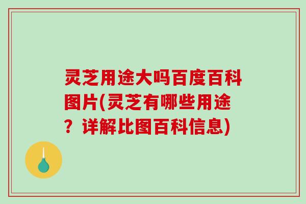 灵芝用途大吗百度百科图片(灵芝有哪些用途？详解比图百科信息)-第1张图片-破壁灵芝孢子粉研究指南