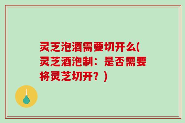 灵芝泡酒需要切开么(灵芝酒泡制:是否需要将灵芝切开?)-第1张图片-破壁灵芝孢子粉研究指南 灵芝泡酒需要切开么(灵芝酒泡制:是否需要将灵芝切开?)-第1张图片-破壁灵芝孢子粉研究指南