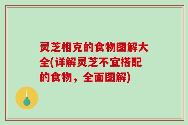 灵芝相克的食物图解大全(详解灵芝不宜搭配的食物，全面图解)-第1张图片-破壁灵芝孢子粉研究指南