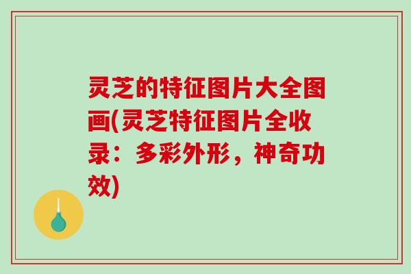 灵芝的特征图片大全图画(灵芝特征图片全收录：多彩外形，神奇功效)-第1张图片-破壁灵芝孢子粉研究指南