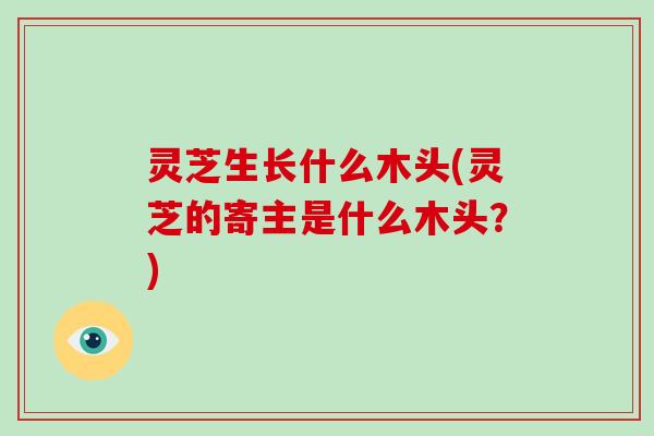 灵芝生长什么木头(灵芝的寄主是什么木头？)-第1张图片-破壁灵芝孢子粉研究指南