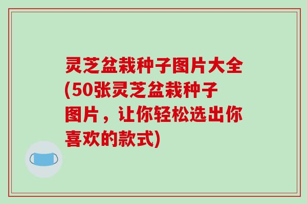 灵芝盆栽种子图片大全(50张灵芝盆栽种子图片，让你轻松选出你喜欢的款式)-第1张图片-破壁灵芝孢子粉研究指南
