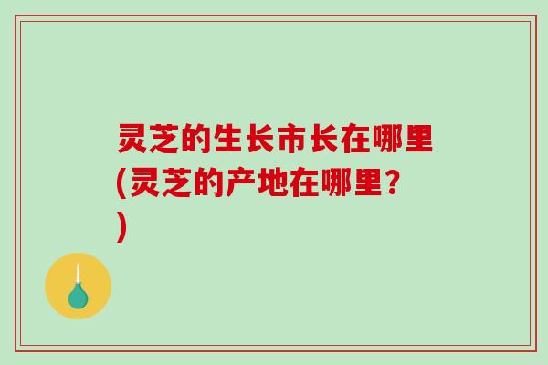 灵芝的生长市长在哪里(灵芝的产地在哪里？)-第1张图片-破壁灵芝孢子粉研究指南