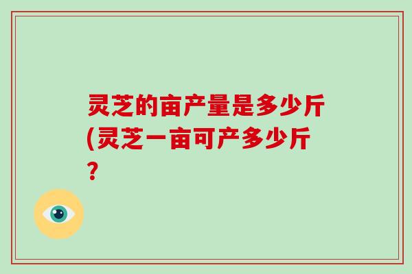 灵芝的亩产量是多少斤(灵芝一亩可产多少斤？-第1张图片-破壁灵芝孢子粉研究指南